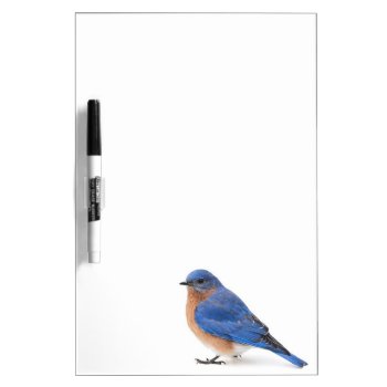 Bluebird Dry Erase Board by PixLifeBirds at Zazzle