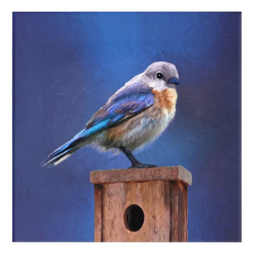 Bluebird Female Painting _ Original Bird Art