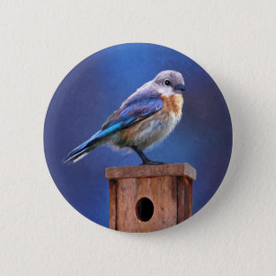 Bluebird (Female) Painting - Original Bird Art Button
