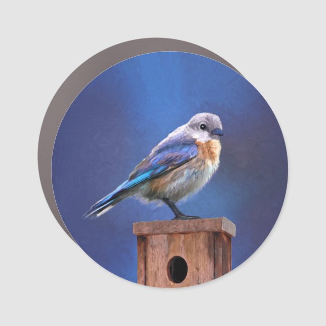 Bluebird (Female) Painting - Original Bird Art Car Magnet (Front)