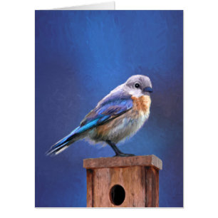 Bluebird (Female) Painting - Original Bird Art Card