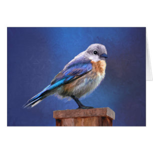 Bluebird (Female) Painting - Original Bird Art Cards