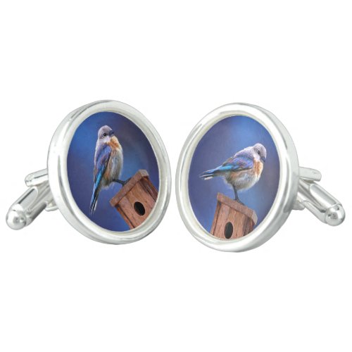 Bluebird Female Painting _ Original Bird Art Cufflinks