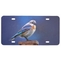 Bluebird (Female) Painting - Original Bird Art