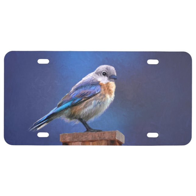 Bluebird (Female) Painting - Original Bird Art License Plate (Front)