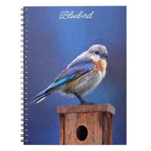 Bluebird Female Painting _ Original Bird Art Notebook