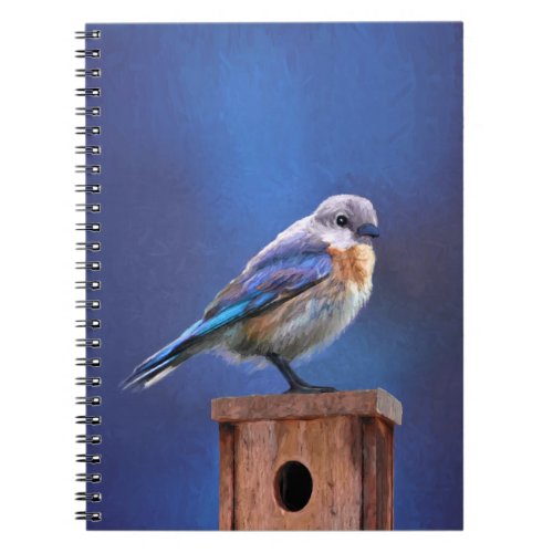Bluebird Female Painting _ Original Bird Art Notebook