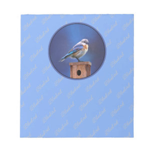 Bluebird (Female) Painting - Original Bird Art Notepad