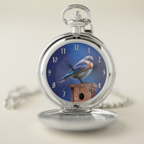 Bluebird Female Painting _ Original Bird Art Pocket Watch