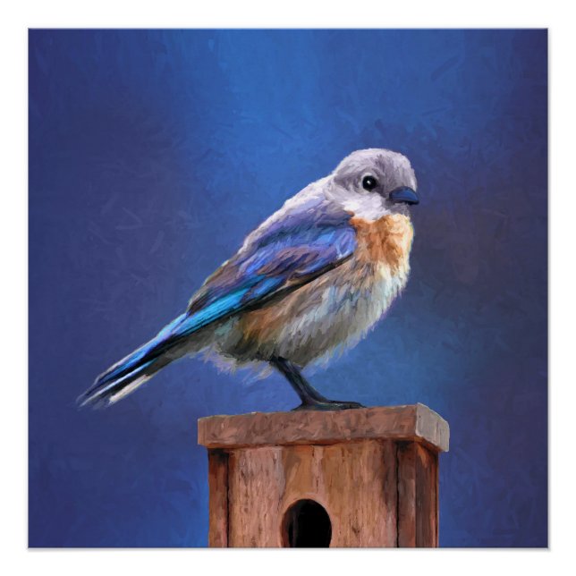 Bluebird (Female) Painting - Original Bird Art Poster (Front)