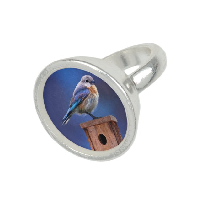 Bluebird (Female) Painting - Original Bird Art Ring (Top)