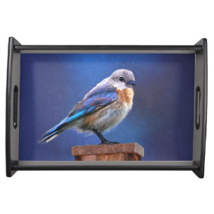 Bluebird (Female) Painting - Original Bird Art Serving Tray