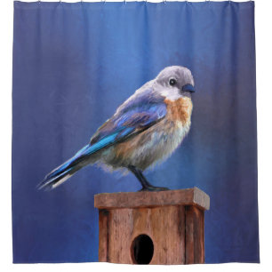Bluebird (Female) Painting - Original Bird Art Shower Curtain