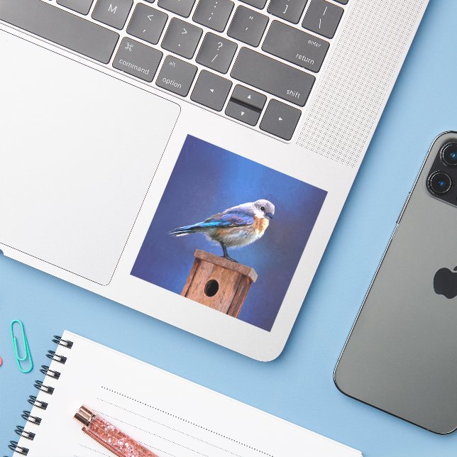 Bluebird (Female) Painting - Original Bird Art Sticker (Laptop w/ iPhone)