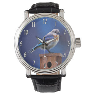 Bluebird (Female) Painting - Original Bird Art Watch