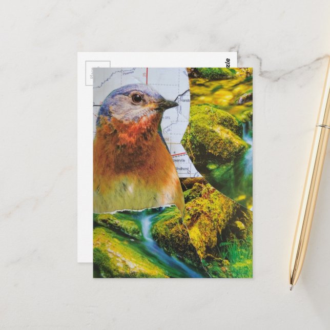 Bluebird Forest Map Collage Postcard (Front/Back In Situ)