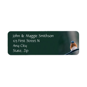 Bluebird Garden Bird Wildlife Nature Custom Label