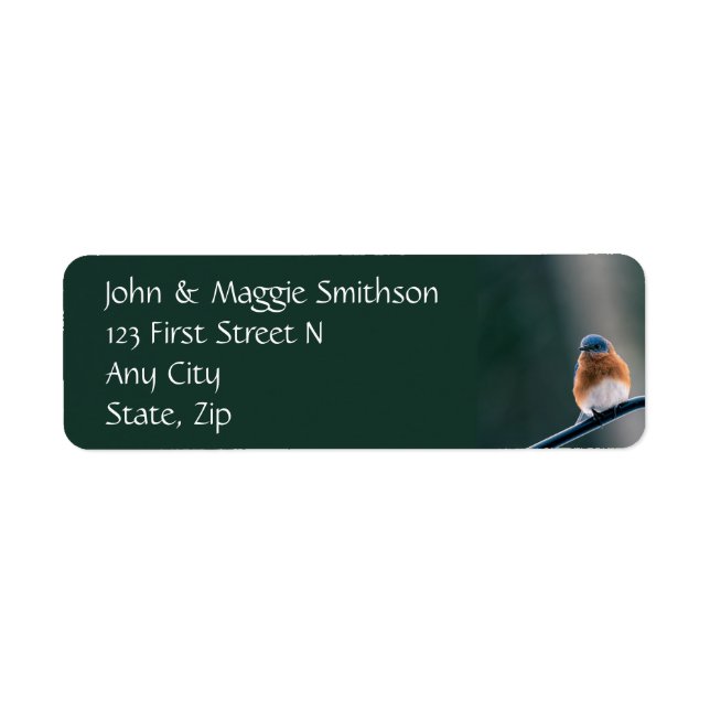 Bluebird Garden Bird Wildlife Nature Custom Label (Front)