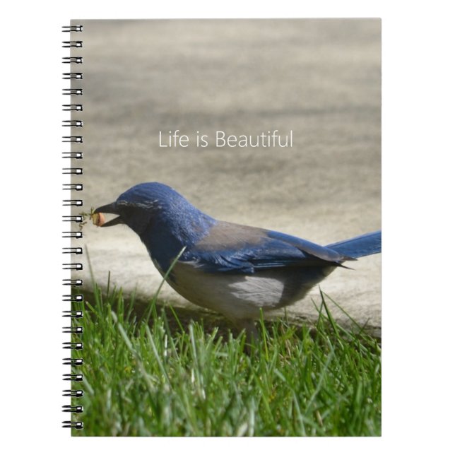 Bluebird Grass (my photography) Notebook (Front)