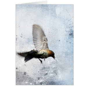Bluebird Grunge Cards
