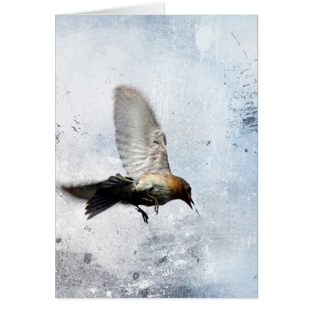 Bluebird Grunge Cards (Front)