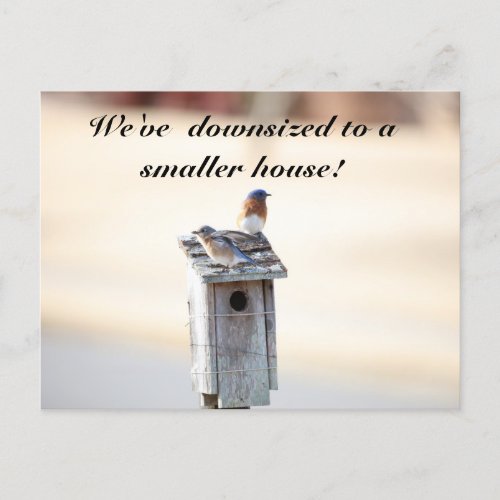 Bluebird House _ Funny Change of Address Postcard