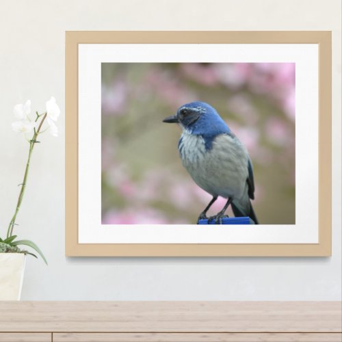 Bluebird in Spring Framed Art