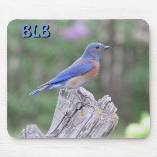 Bluebird in Spring  your Initials Mouse Pad (Front)