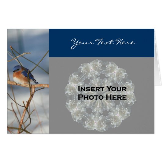 Bluebird In Winter Nature Photo Card (Front Horizontal)