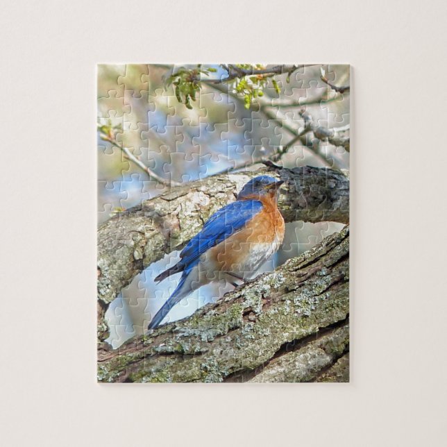 Bluebird Jigsaw Puzzle (Vertical)