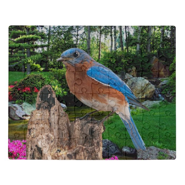 BLUEBIRD JIGSAW PUZZLE (Puzzle Horizontal)