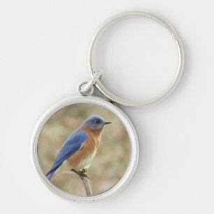 Bluebird Key Chain