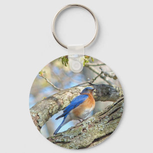 Bluebird Keychain