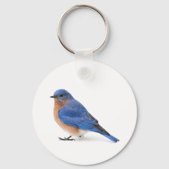Bluebird Keychain by PixLifeBirds at Zazzle