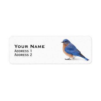 Bluebird Label by PixLifeBirds at Zazzle