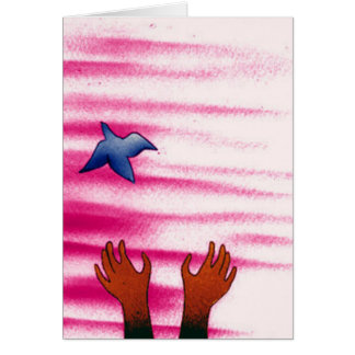 Bluebird - Ltd Edition Cards