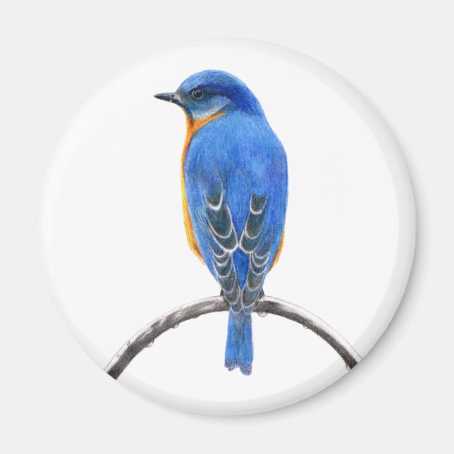 Bluebird Magnet (Front)
