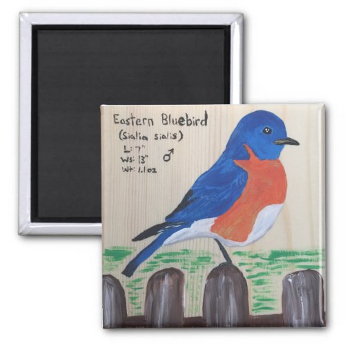 Bluebird Magnet