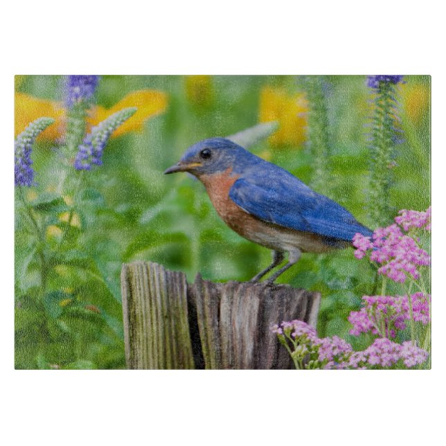 Bluebird male on fence post in flower garden cutting board (Front)