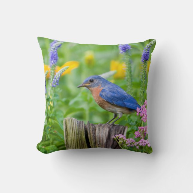 Bluebird male on fence post in flower garden throw pillow (Front)