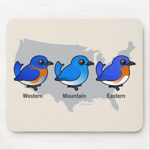 Bluebird Map Mouse Pad