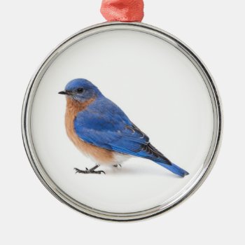 Bluebird Metal Ornament by PixLifeBirds at Zazzle