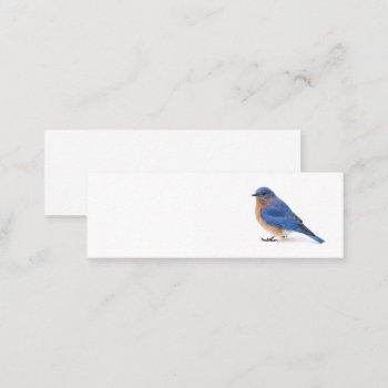 Bluebird Mini Business Card by PixLifeBirds at Zazzle