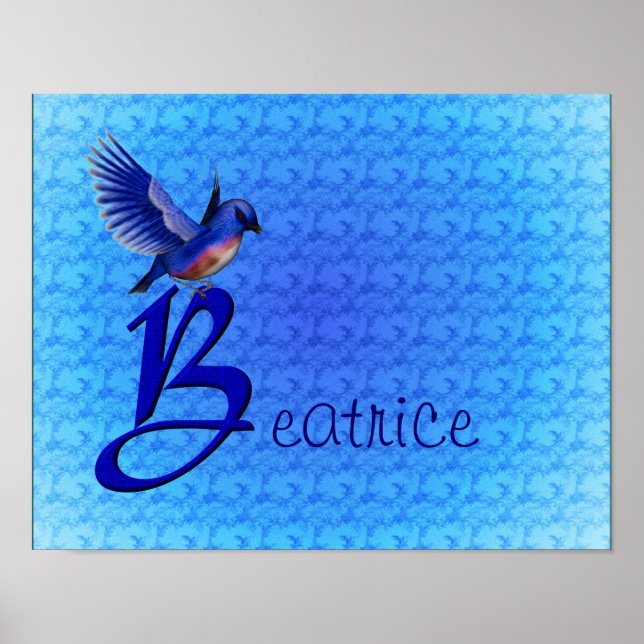 Bluebird Monogram Initial B Personalized Poster (Front)