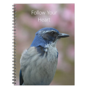 Bluebird (my photography) notebook