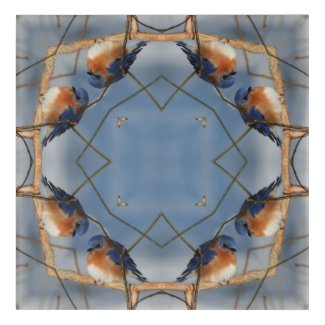 Bluebird Nature Abstract Art  