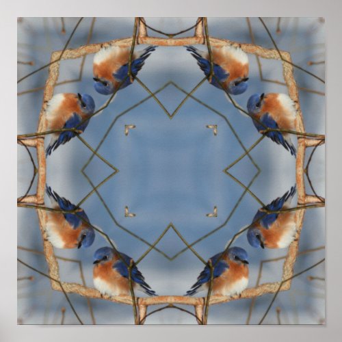 Bluebird Nature Abstract Kaleidoscope Art Poster