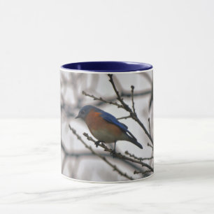 Bluebird Nature Lover Bird Lover Winter Mug