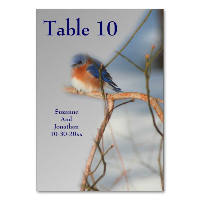 Bluebird Nature Personalized Wedding  Table Number (Front)
