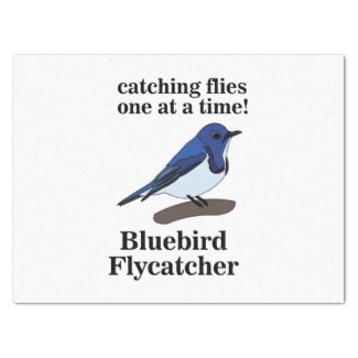 Bluebird Nature Wildlife Funny Birthday